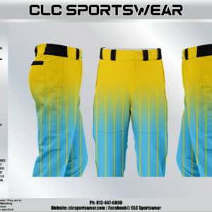 BG Select Pinstripe Knicker Pants