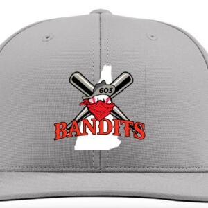 603 Bandits Baseball Flat-Brim Performance Hat - Grey